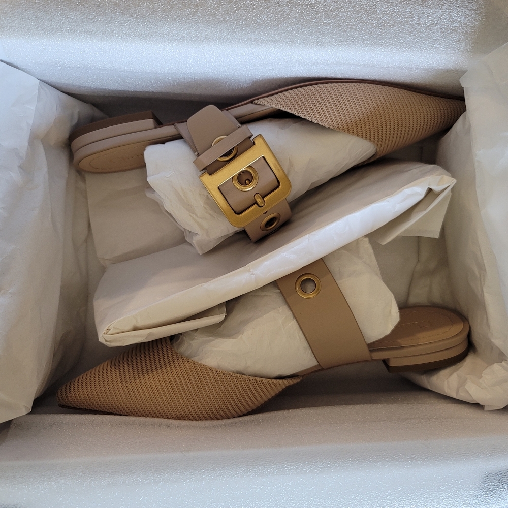 DIOR D-Dior Buckle Mules - Picture 10 of 13